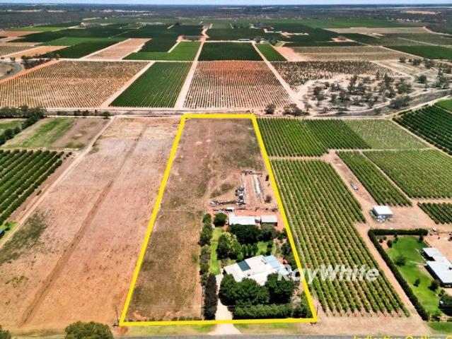 House for sale in Gol Gol, New South Wales
