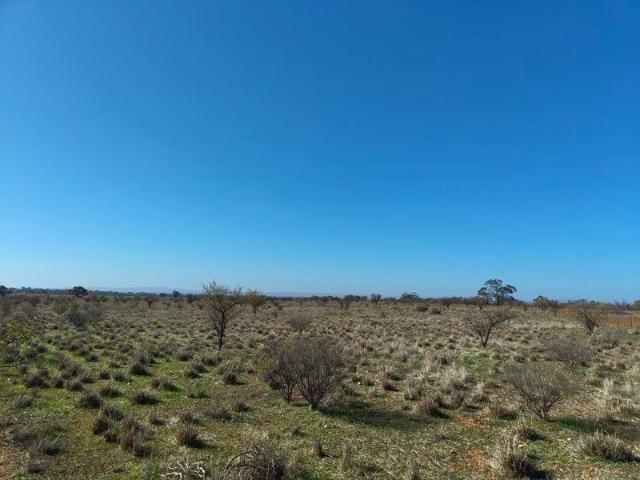 Land for sale in Wilmington, South Australia