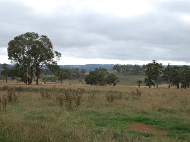 Cottage for sale in Walcha, New South Wales