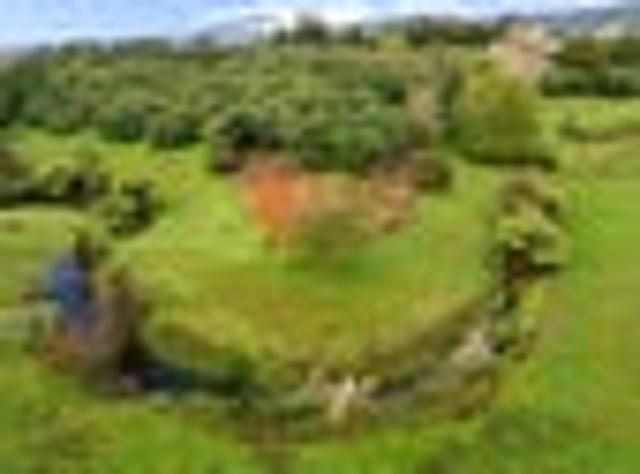 Land for sale in Katikati, Bay Of Plenty