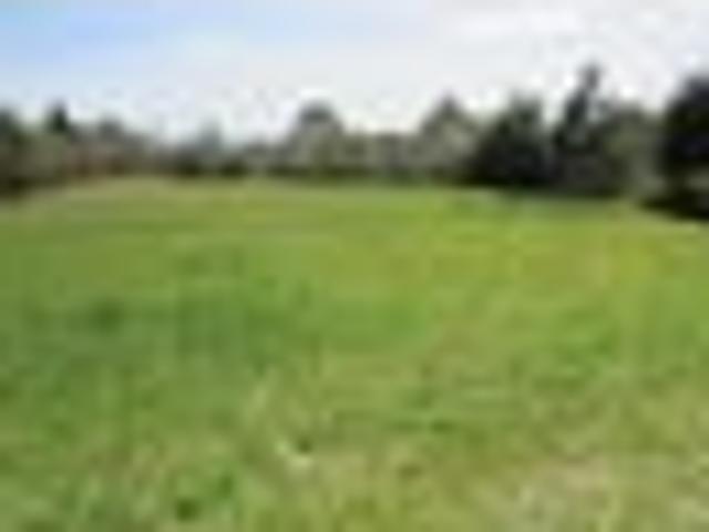 Land for sale in West Coast