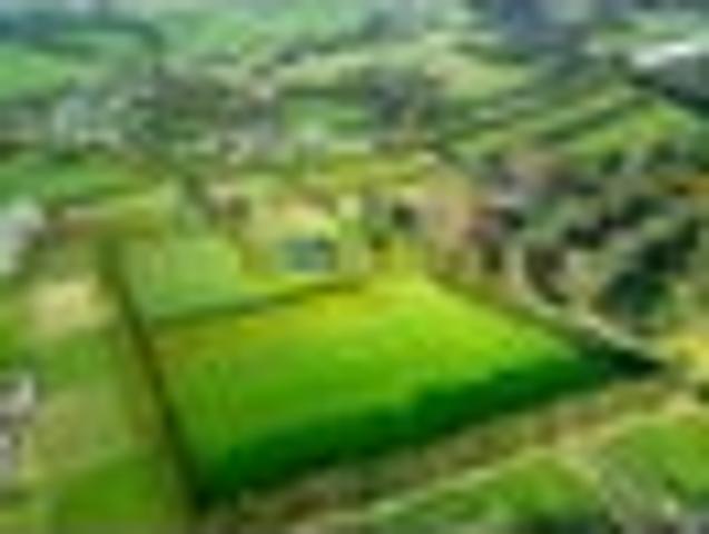 Land for sale in Karetu, Northland