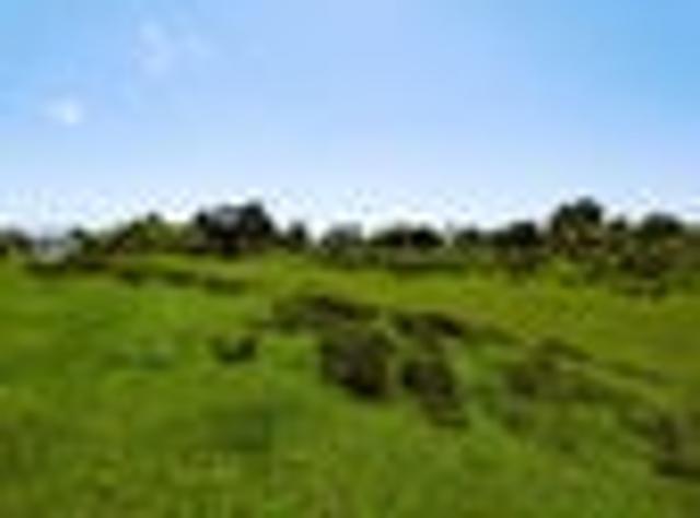 Land for sale in West Coast