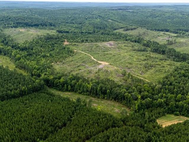 Land for sale in Ellerbe, North Carolina