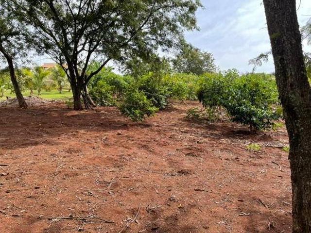 Sítio e chácara venda em Alvorada do Sul, Paraná