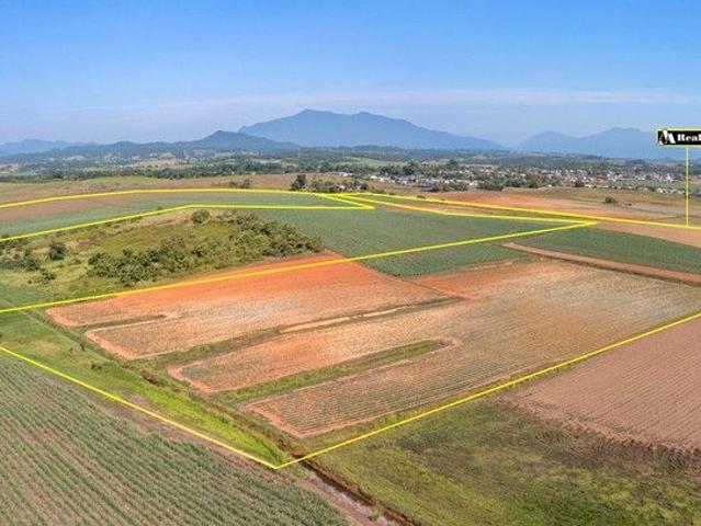 Property for sale in Belvedere, Queensland