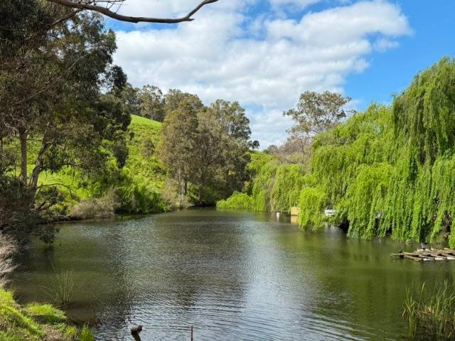 House for sale in Crooked Brook, Shire Of Dardanup