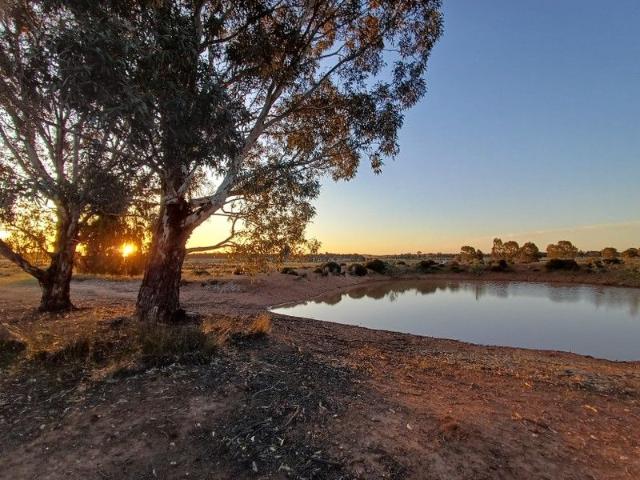 Land for sale in Dubbo Regional Council, New South Wales