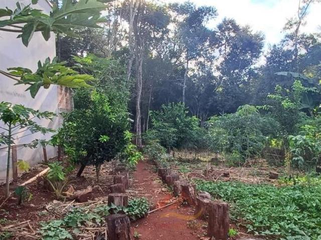 Sitio venda em Cascavel