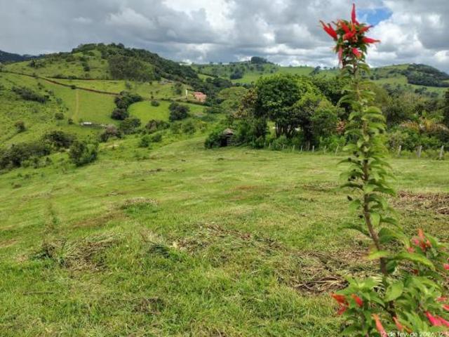 Sítio e chácara venda em Região Geográfica Imediata de Pouso Alegre, Munhoz