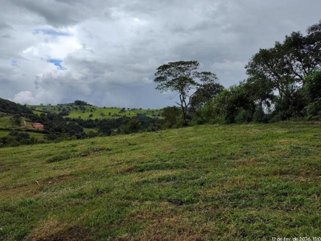 Sítio e chácara venda em Munhoz