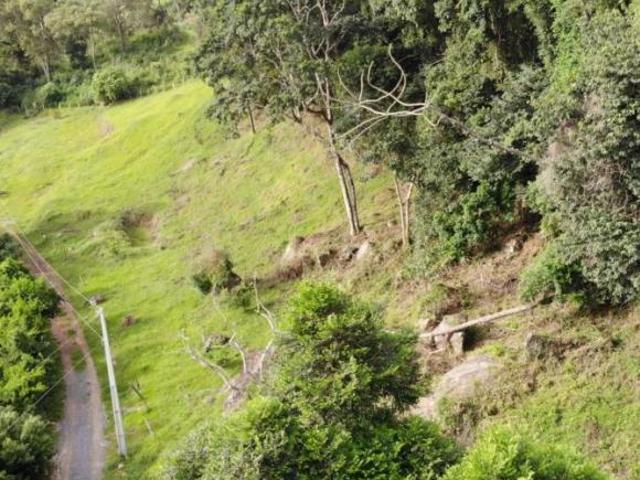 Sítio e chácara venda em Região Geográfica Imediata de Pouso Alegre, Munhoz