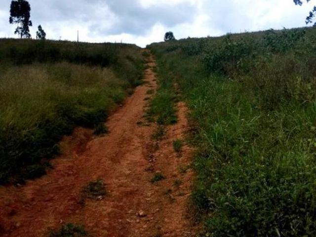 Sítio e chácara venda em Região Geográfica Imediata de Pouso Alegre, Munhoz