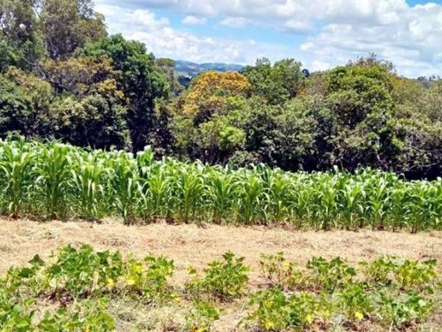 Sítio e chácara venda em Região Geográfica Imediata de Pouso Alegre, Munhoz