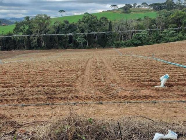 Sítio e chácara venda em Região Geográfica Imediata de Pouso Alegre, Munhoz