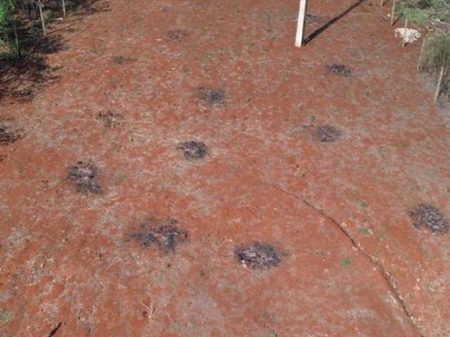 Sítio e chácara venda em Região Geográfica Imediata de Uberlândia, Oliveira Fortes