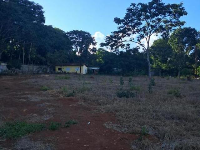 Sítio e chácara venda em Região Geográfica Imediata de Uberlândia, Oliveira Fortes
