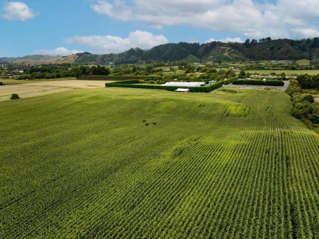 Land for sale in Horowhenua District