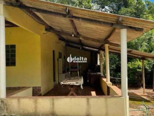 Sítio e chácara venda em Região Geográfica Imediata de Uberlândia, Oliveira Fortes