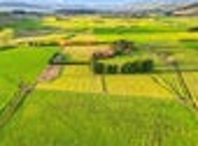 House for sale in Southland