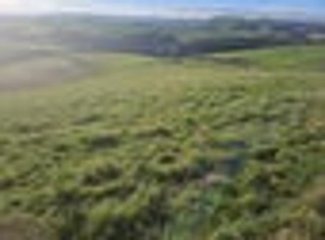 Land for sale in Otakou