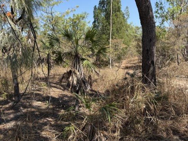 Acreage for sale in Collett Creek, Northern Territory
