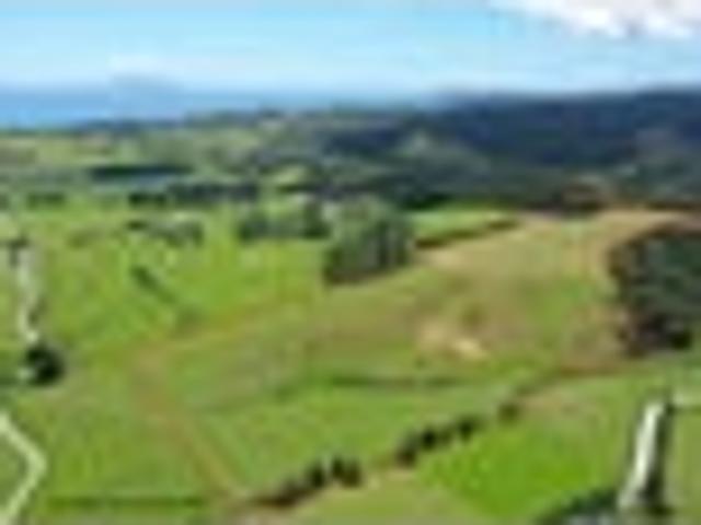 Land for sale in Northland