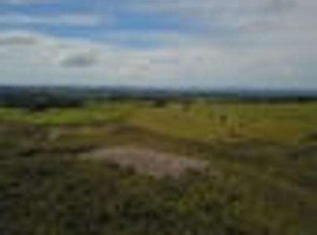 Land for sale in Karetu, Northland