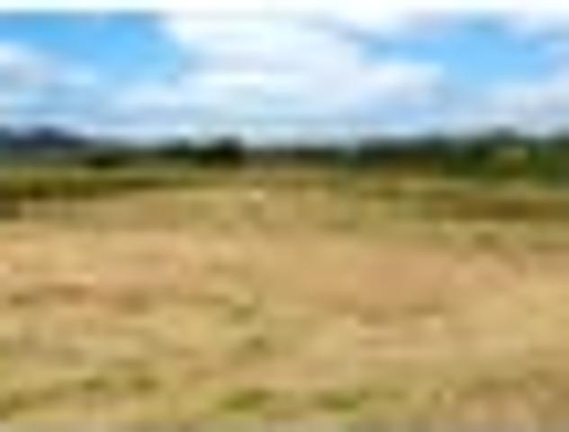 Land for sale in Huntly, Waikato