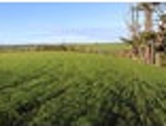 Land for sale in Eltham, Taranaki