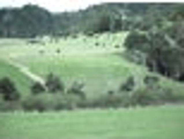 Land for sale in Awhitu, Oroua County