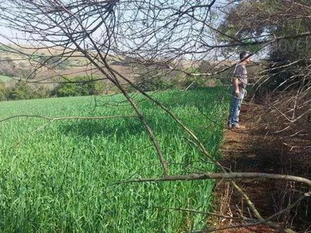 Sítio e chácara venda em Região Geográfica Imediata de Londrina, Ibiporã