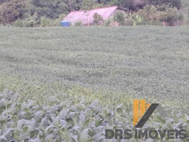 Sítio e chácara venda em Região Geográfica Imediata de Campo Mourão, Campina da Lagoa