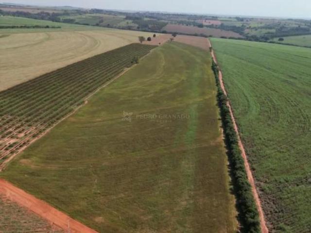 Sítio e chácara venda em Cruzeiro do Sul, Região Geográfica Intermediária de Maringá