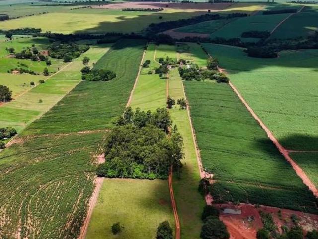 Sítio e chácara venda em Cruzeiro do Sul, Região Geográfica Intermediária de Maringá