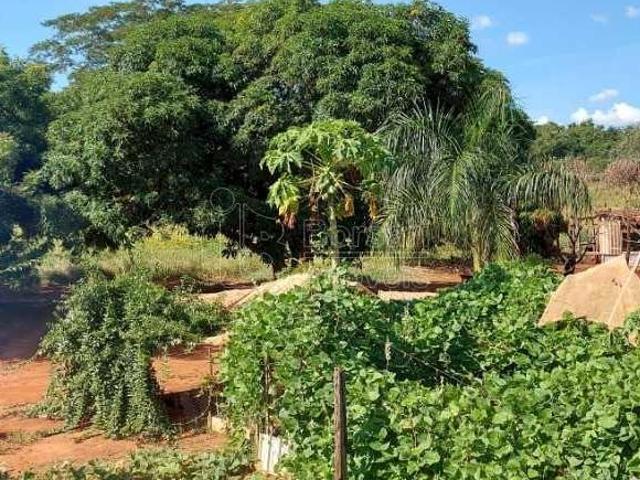 Sítio e chácara venda em Gavião Peixoto, Região Geográfica Intermediária de Araraquara