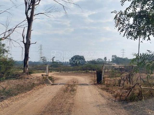 Sítio e chácara venda em Região Imediata de Ribeirão Preto, Região Metropolitana de Ribeirão Preto