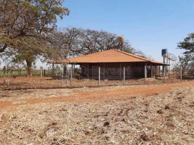 Sítio e chácara venda em Região Imediata de Barretos, Região Metropolitana de São José do Rio Preto
