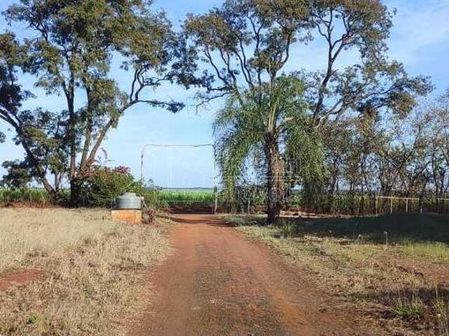 Sítio e chácara venda em Região Imediata de Araraquara, Santa Lucia