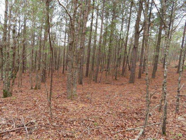 Land for sale in Oklahoma