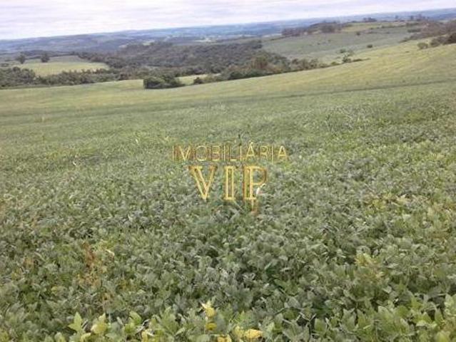 Sítio e chácara venda em Região Geográfica Imediata de Londrina, Assaí