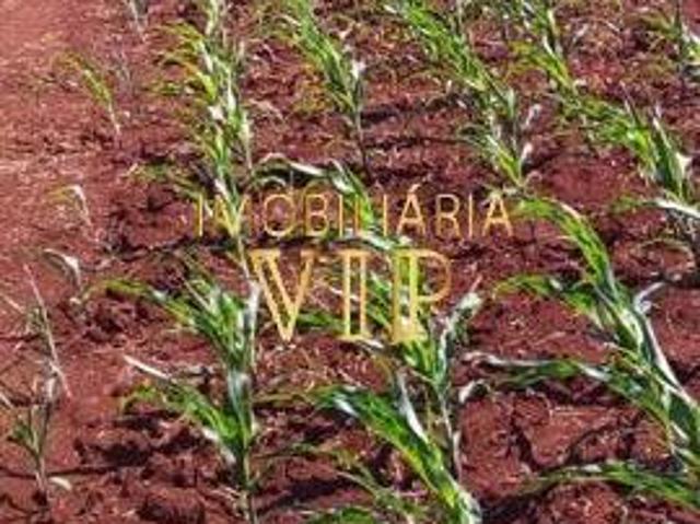 Sítio e chácara venda em Bela Vista do Paraíso, Paraná