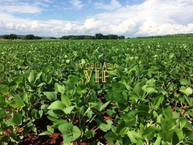 Sítio e chácara venda em Região Geográfica Imediata de Londrina, Assaí