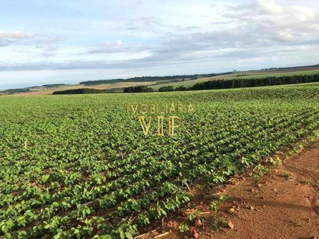 Sítio e chácara venda em Bela Vista do Paraíso, Paraná