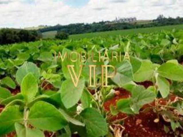 Sítio e chácara venda em Região Geográfica Imediata de Londrina, Assaí