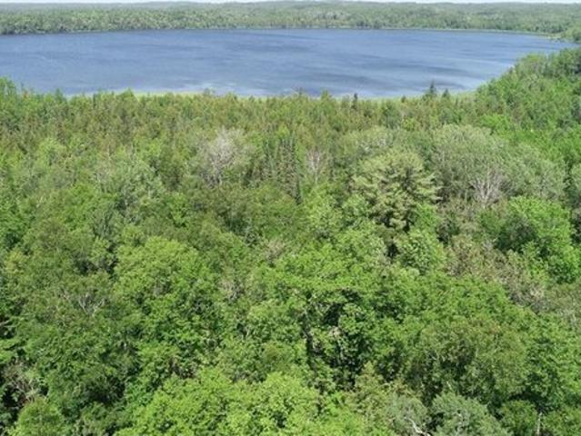 Land for sale in Deer River, Minnesota