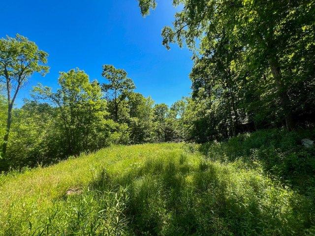 Land for sale in Rayland, Ohio