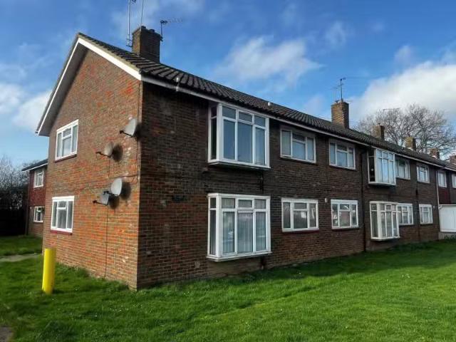 House for rent
