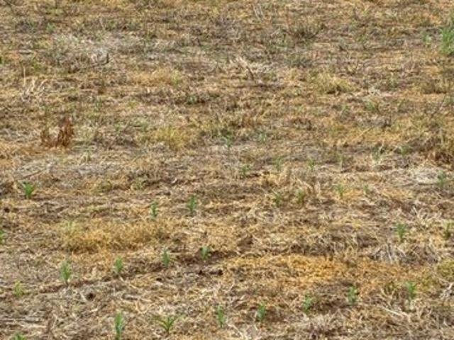 Land for sale in Tennessee