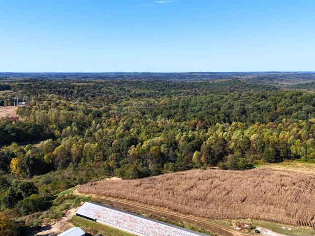 Land for sale in Shoals, Martin County